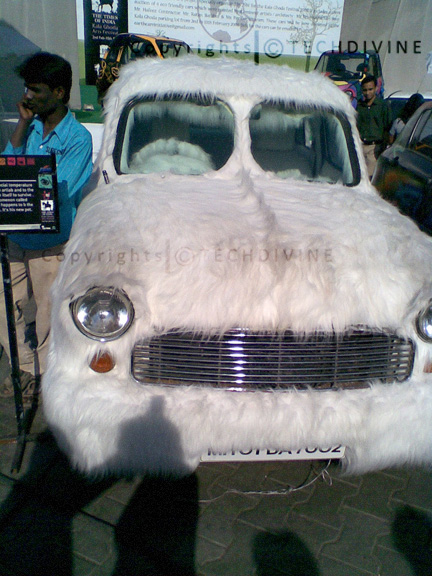 Fur Car